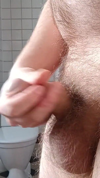 Masturbating Toilet