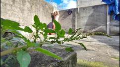 carmonaoficial: 树林里的摄像机拍摄两个异性恋做爱