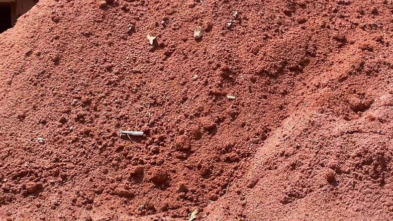 Amateur Teen Studio: Hãy nhanh chóng để không ai bắt gặp chúng tôi (đằng sau...