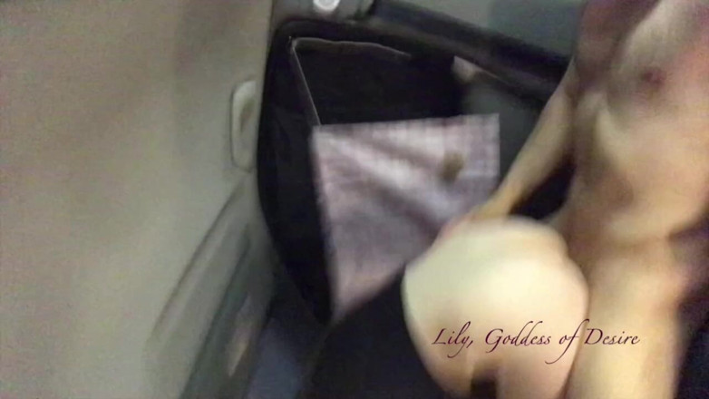 Lily, Goddess of Desire: Una dura scopata in macchina ed una bella ragazza felice...