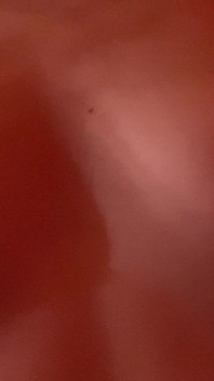 मेरे स्तनों और निपल्स की पूजा करें