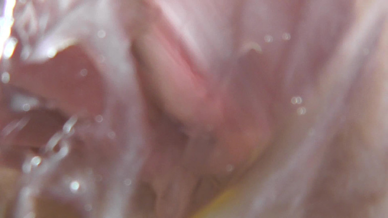 Femdom Sex: Cum in My Cuckold Loser's Fucking Face!