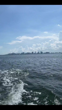 Io posso essere il tuo capitano?