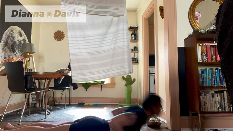 Dianna Davis: Rychlo jóga