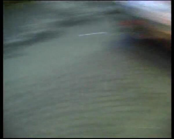 King Of Amateur: Bucurați-vă de X Video vol. 10