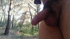 Kinky Guy: Nude Walking in the Forest with Random Pee