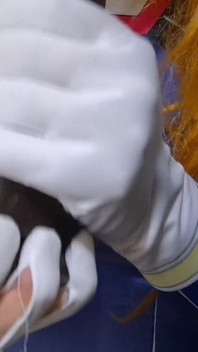 Extended Cut of Stupid Sissy in Cosplay Punishes Her Nipples and Gagging Blowjob