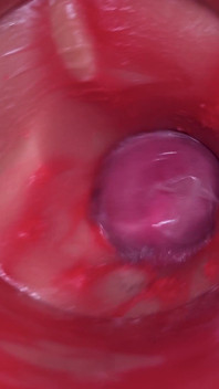 Camera in poesje: krachtig sperma in poesje! Beste interne asmr in 4k meer sperma