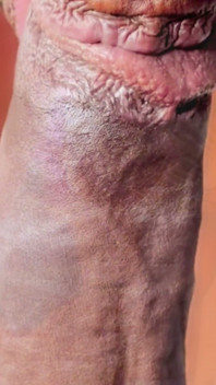 Une Mamie BBW À Gros Cul Se Fait Démolir Par Une Grosse Bite Noire