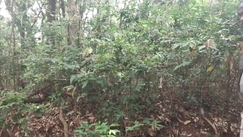 TheBlacKHunterr: 我在泻湖停下来拍了一杯