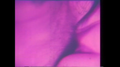 Vintage Megastore Full hd: 一群