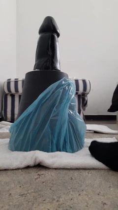 Sisipan Dildo