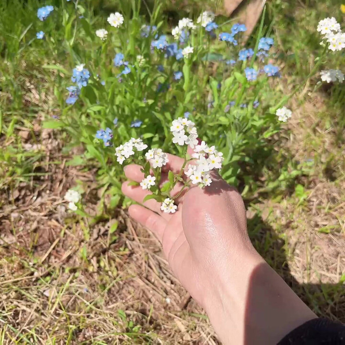 sweethanajapanese: 为了照顾花树而撒尿