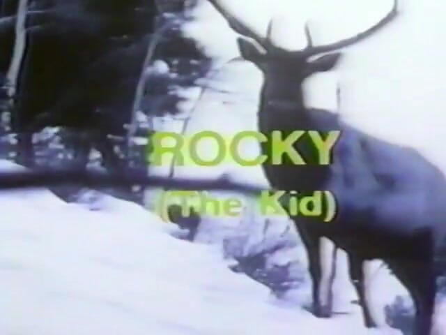Tribal Male Retro 1970s Gay Films: Níže část 1