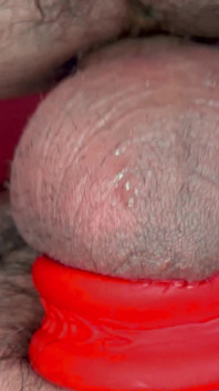 Bareback Fetish Bears II Prt 2