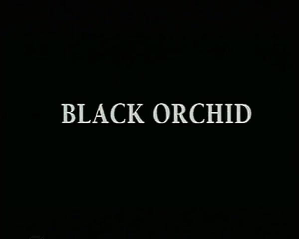 GERMAN PORN CLASSICS: Zwarte orchidee