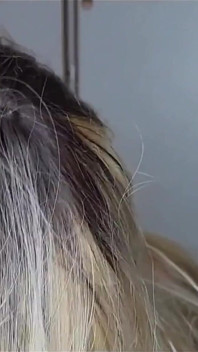 Bú cu người hâm mộ cho một video mới