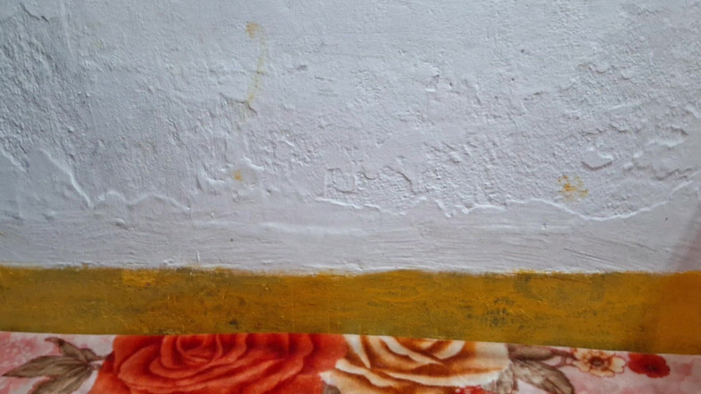 Busty Banuu: 2020년 7월 19일 10시 2002년 1월 22일