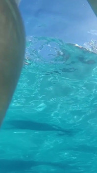 Naughty Brazilian Babe Chilling in the Pool