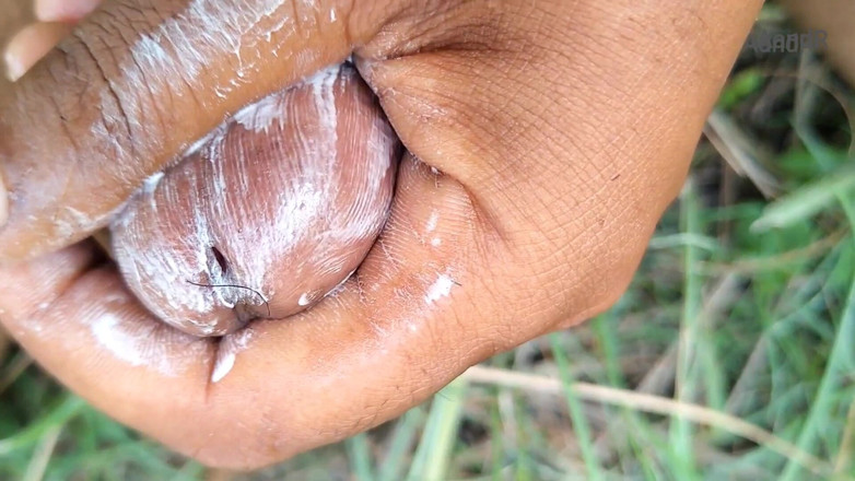 AnR: Masturbation teil 2 befriedigender orgasmus indischer junge masturbiert im dschungel mit...