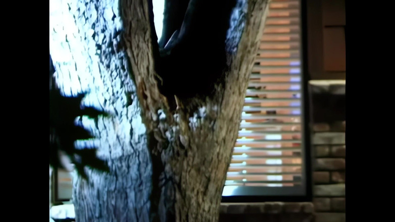 Blitzporn: Melody Love: Sinnlich, Perfekte Junge Muschi, Hart Gefickt