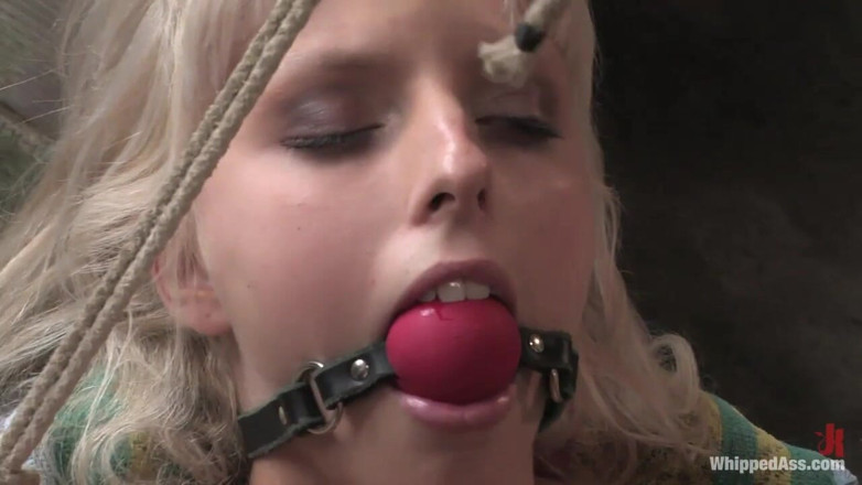 Whipped Ass by Kink: Stella Del Croix
