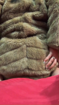Do You Want to Play with This Fur-coat?