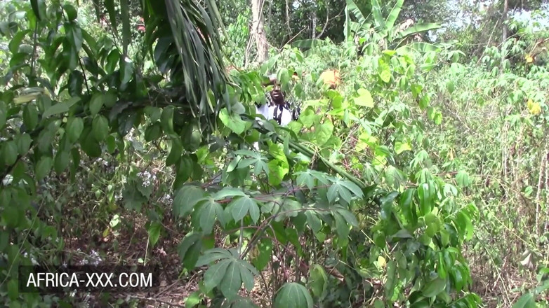 Africa-XXX: Ebony couple outdoor quickie