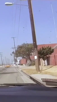 Hot Funny Big Labia Cum Walk Vintage Fuck