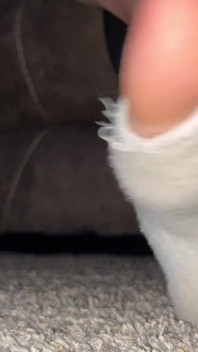 Fétiche des chaussettes déchirées avec les pieds en POV