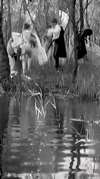 Baden Verboten Aka Bathing Forbidden Restored in 4K