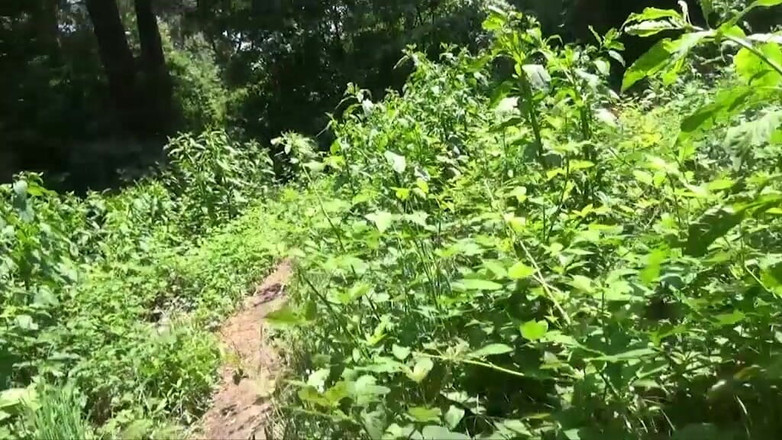 King Of Amateur: Збуджені зрілі італійські повії - трахни мене і ніж мийте мене