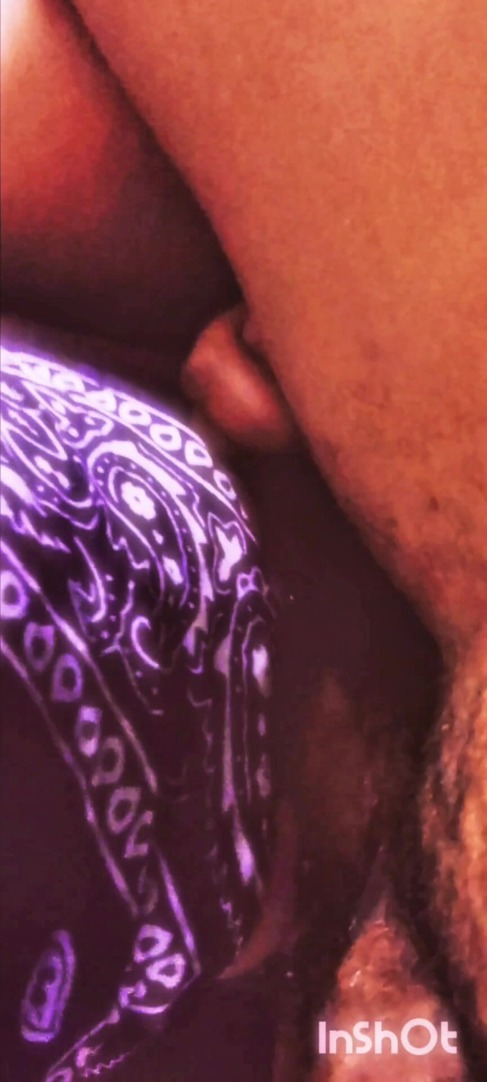 The Nasty House: O monstro desleixado !!