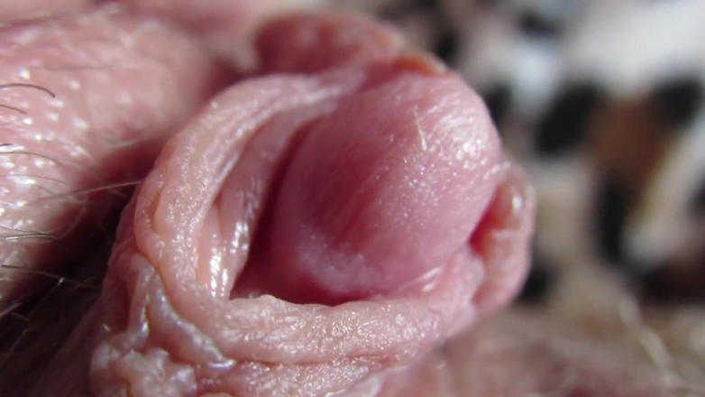 Cuteblonde666: Cận cảnh cái đầu âm vật cứng của tôi