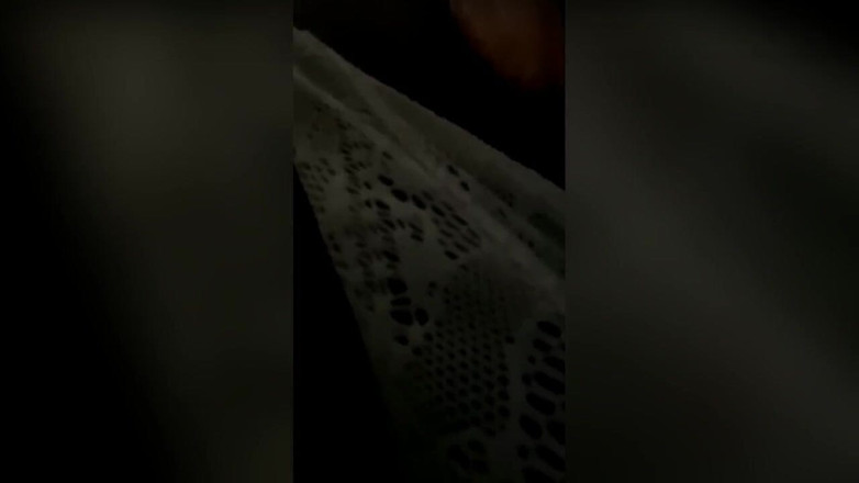 Emperor Kai Da God King: 흑인 대물 자지와 섹스하는 흑누나 소년