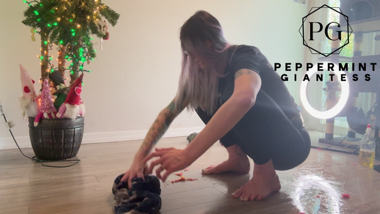 Peppermint Giantess: Fruit Crush Aftermath: Cleaning up the Juicy Floor Mess
