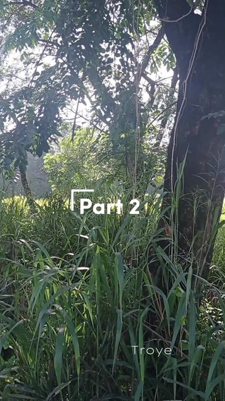 Troye_AsianPinoy: Pinoy Siklista Jakol | Chico asiático con una polla venosa masturbación [parte 2/2]