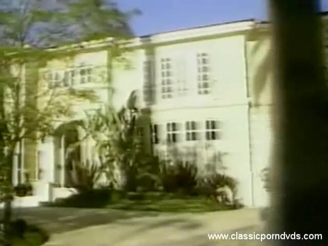 Classic Porn DVDs: Dvds lucah klasik: tempat keseronokan: bahagian 1