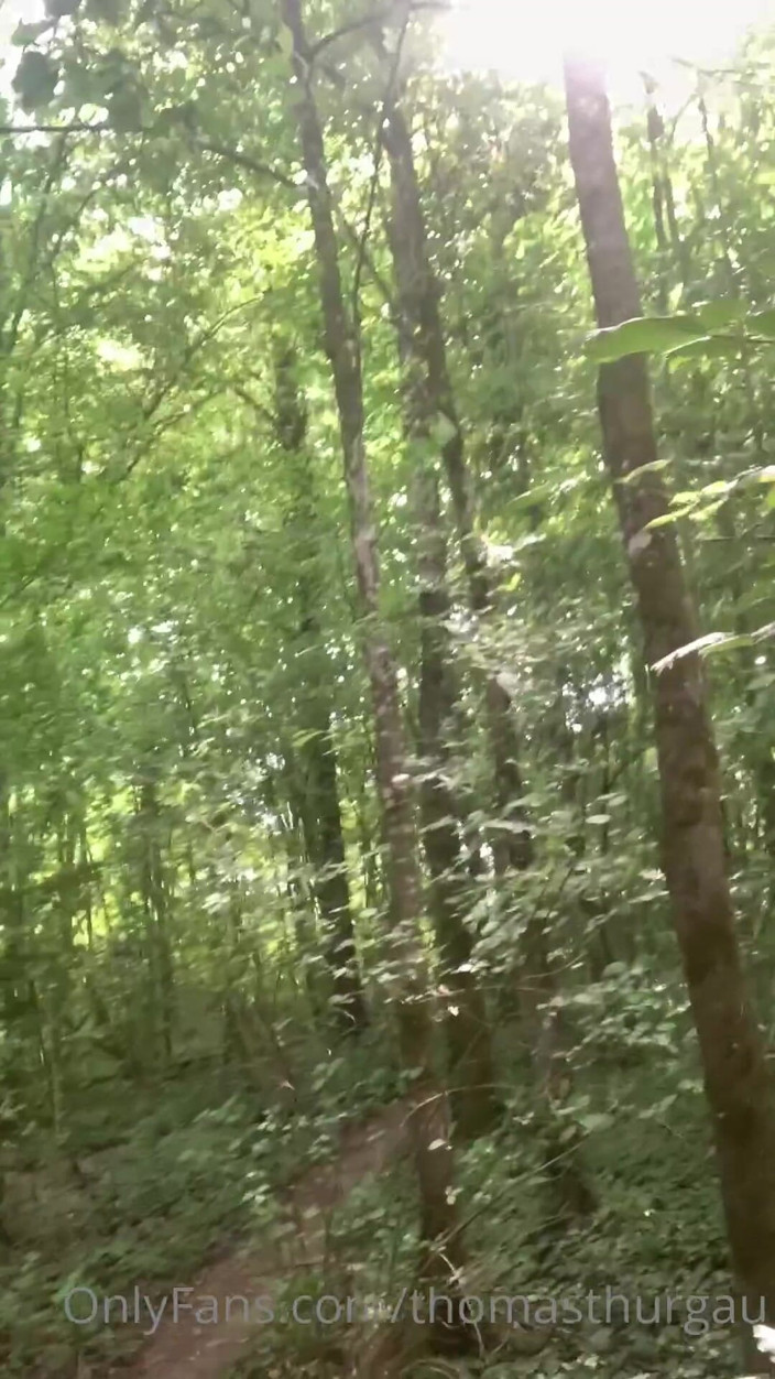 Thomasthurgau: Sekali lagi di hutan