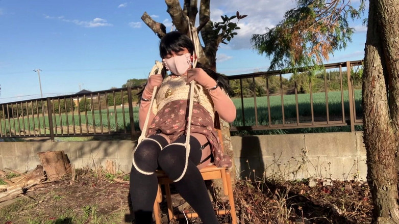 megu2002: El juego de rotores Direct's Direct Training No31 se siente...