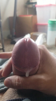Morning Wood