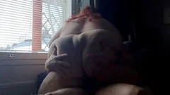 SSBBW Big Fat Ass Riding