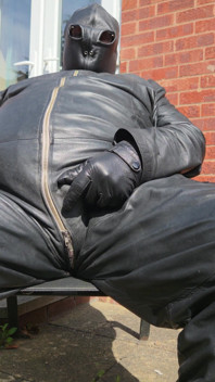 Leather in the Sun