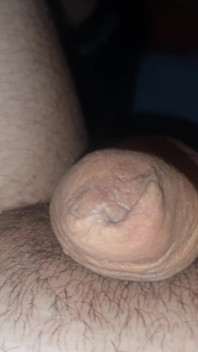 Dick House
