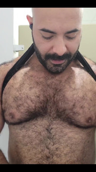 Solo Bear