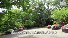 Japanese Hentai Matings: Forbidden Hot Spring - Shiori, 25, a Married Woman - 1