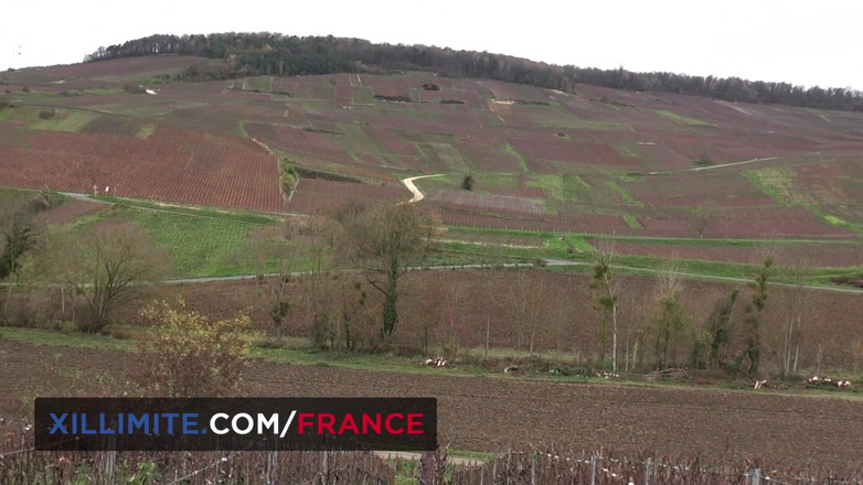 Made In France: Threesome with Luna Rival and 2 hunters