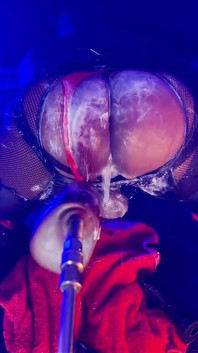 Hur man gör en slarvig butthole - anal träning