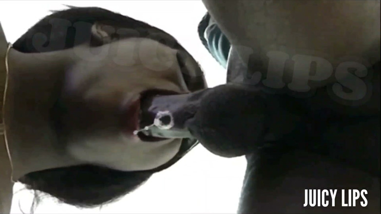 It get sloppy here: Saftige lippen schlürft seinen schwanz so schlampig, dass er verrückt...