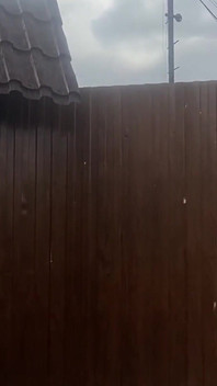 399581438682341376.mp4